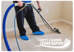 carpet cleaning cottage grove