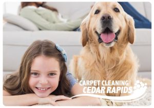 carpet cleaning wyoming